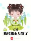 红楼:我和黛玉互穿了